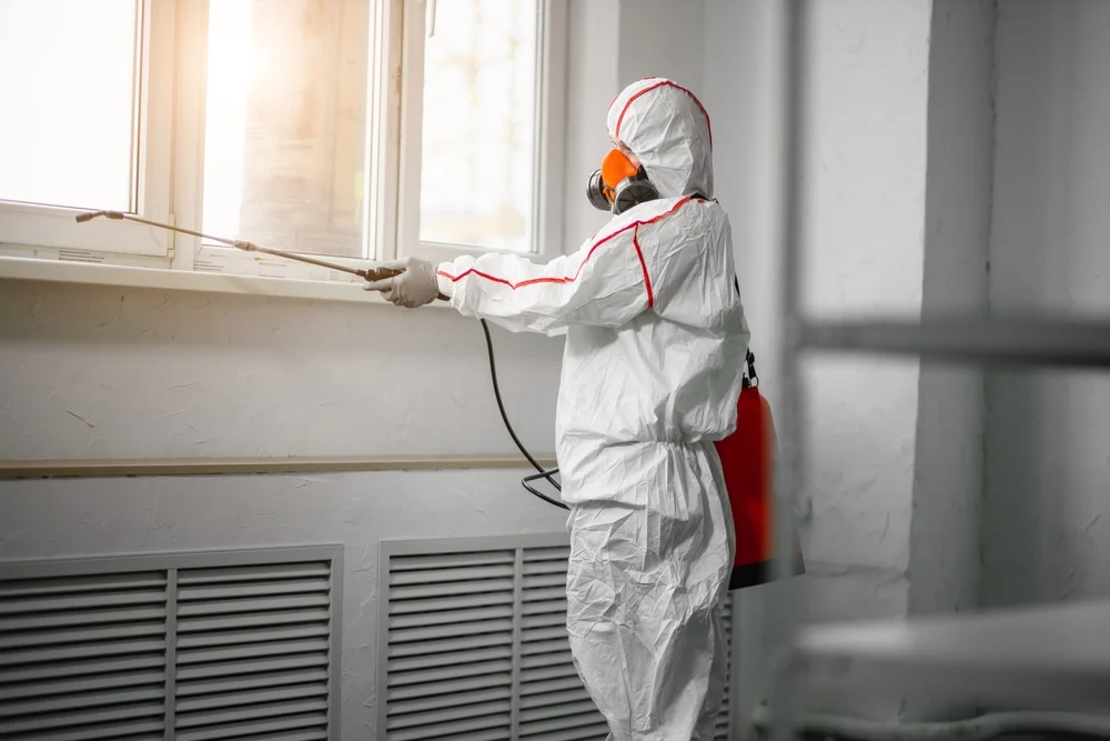 Professional mold remediation services in Danielsville, GA